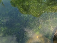 -太湖好灶头土菜馆(石公路店)