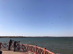 -丁香湖公园