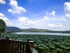 -尚湖风景区