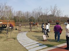 -上海长兴岛郊野公园