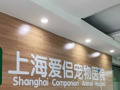 -爱侣宠医·鹦鹉专科·小型哺乳类·异宠专科(灵石路店)