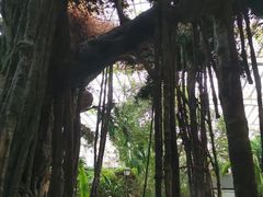 -龙达温泉生态城