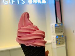 -喜茶(迪士尼小镇DP店)