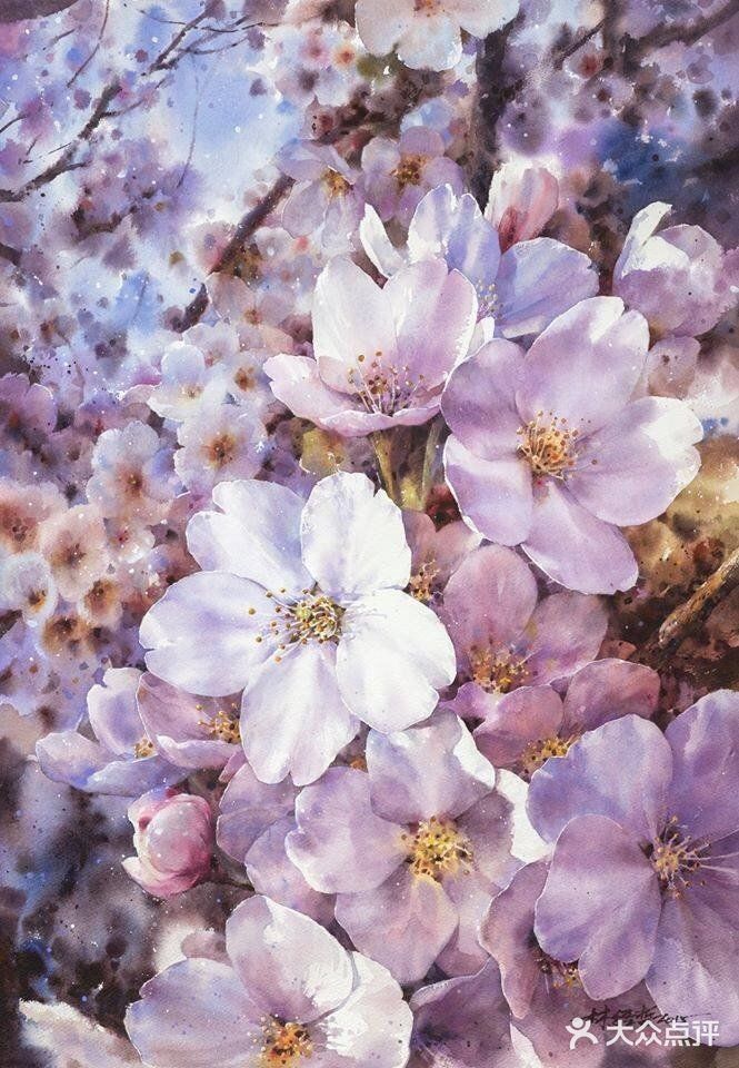 台湾画家林经哲樱花水彩画作品欣赏[礼花][礼花]