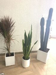 -TRIMS HAIR 修剪造型·烫染接发