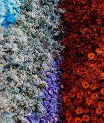 -锦江饭店·锦江小礼堂·宴会厅