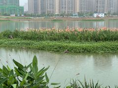 -大小河街