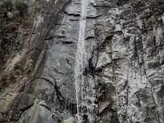 -黑河国家森林公园