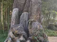-上海醉白池公园