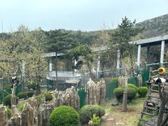 -大连森林动物园