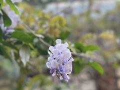 -厦门良筑精品酒店(厦门中山路店)