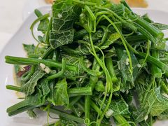蒜茸丝瓜尖-巢香扣肉馆