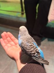 -酷嗒动物文化乐园(cutezoo西溪乐天城店)