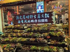 -大理古城