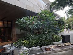 -味餐厅·海鲜·火锅·自助餐