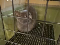 -宠颐生汉谟拉比宠物医院