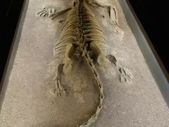 -世界恐龙谷景区