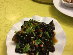 -丁老爷子苏香圆