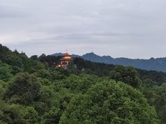 -金水泊山庄·花椒鸡(铁山坪店)