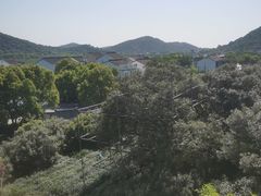 -树山生态村