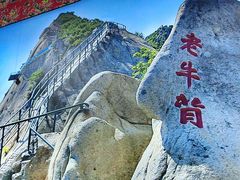-边江铁锅炖鱼(振八街店)