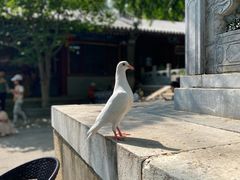 -潭柘寺景区