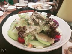 蔬菜色拉-新南华大酒店(广中店)