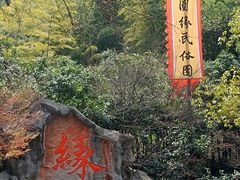 -杭州黄龙洞