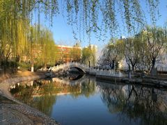 -丰台科技园生态主题公园