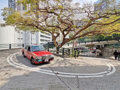 -香港大学