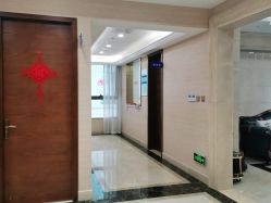 -碧莲盛·不剃发植发