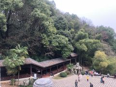 -团城山公园