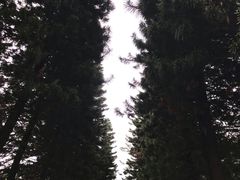 -星海公园(番禺区)