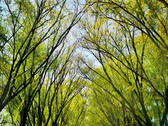 -野鸭湖国家湿地公园