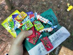 -前小桔亲子创意农场·草莓采摘·露营烧烤