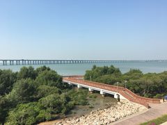 -宝安西湾红树林湿地公园