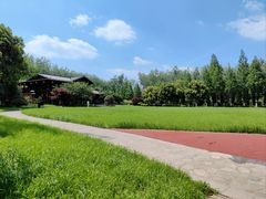 -合肥滨湖国家森林公园