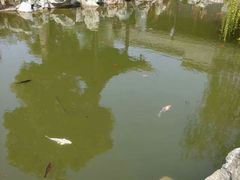 -吴敬梓故居