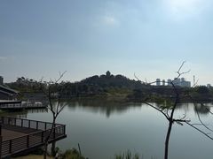 -王借岗森林公园