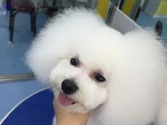 -瑞派宠物医院·24小时骨科·心脏·核磁(哈尔滨南岗店)