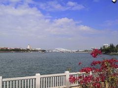 -五缘湾湿地公园