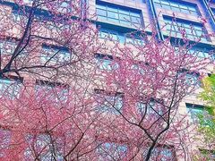 -吉林大学(南岭校区)