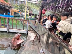 -灵玲国际马戏城