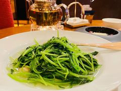 -广州富力君悦大酒店空中花园