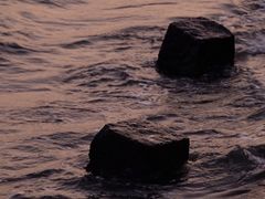 -海堤纪念公园