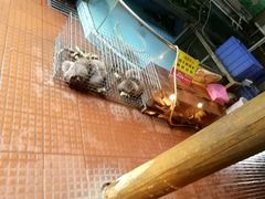 -侠成水上农庄(工业大道店)