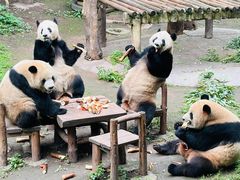 -重庆动物园·东二门售票处