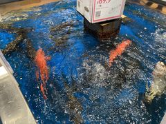 -盒马鲜生(顺义店)