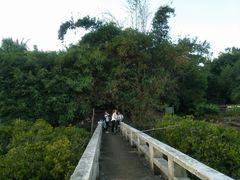 -东寨港红树林旅游区