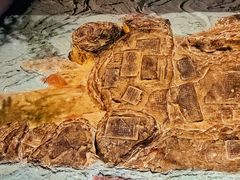 -白鹤梁水下博物馆